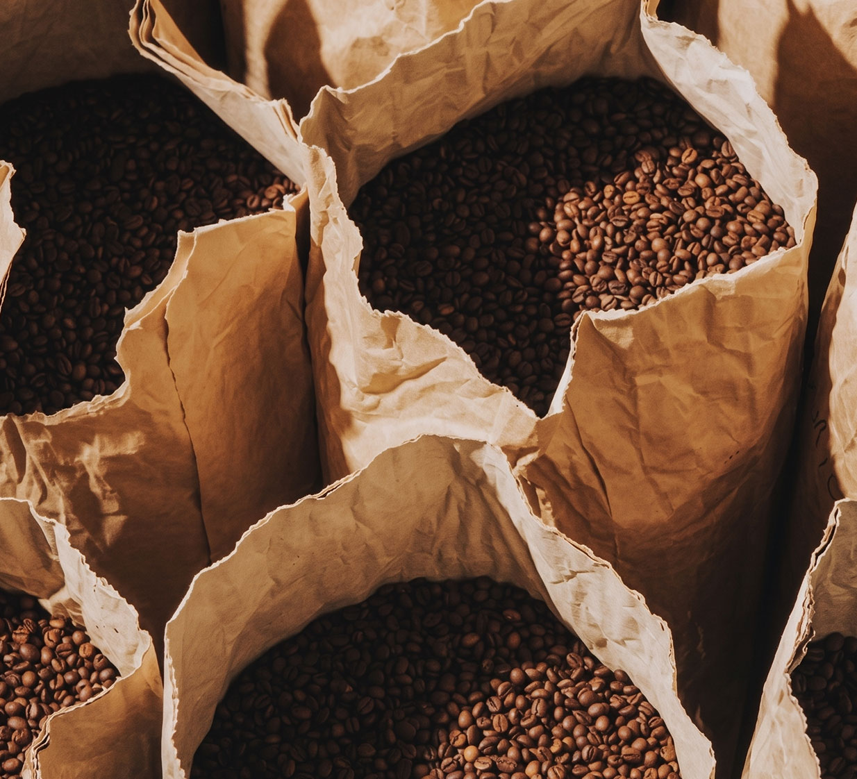 Fresh coffee beans