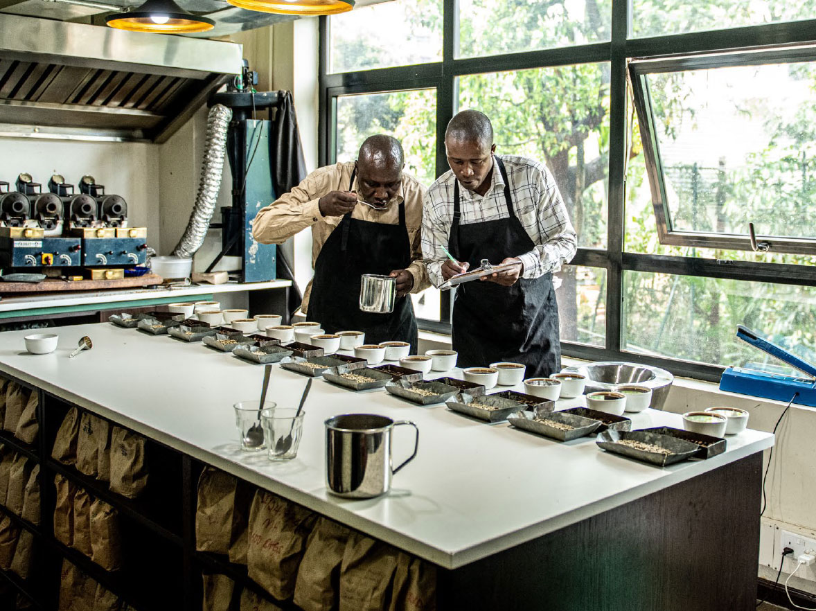 Coffee Roasting Process